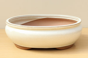 (E) Glazed Oval Lipped Bonsai Pot - 12" Cream