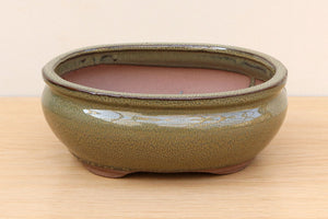 (C) Glazed Oval Bonsai Pot - 8" Mottled Green