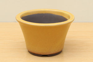 (A) Glazed Round Bonsai Pot - 5" Mustard Yellow