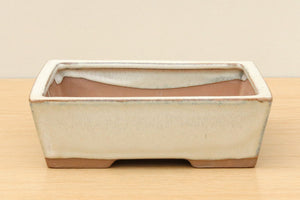 (C) Glazed Rectangular Bonsai Pot - 8" Cream