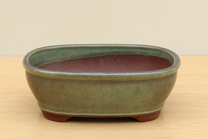 (B) Tongrae Glazed Oval Bonsai Pot - 6" Mottled Green