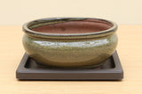 (Q1) Bonsai Drip Tray 6"