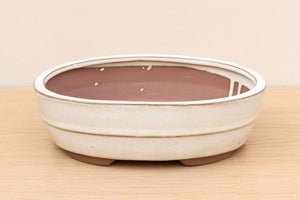 (C) Glazed Oval Bonsai Pot - 8" Cream