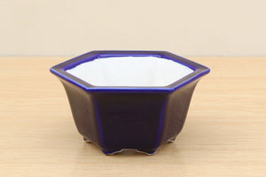 (A) High-quality Glazed Hexagonal Bonsai Pot - 5" Deep Blue