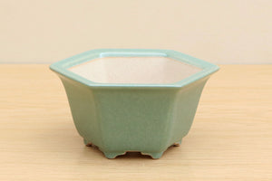 (A) High-quality Glazed Hexagonal Bonsai Pot - 5" Sage Green