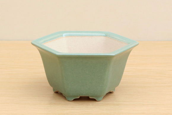 (A) High-quality Glazed Hexagonal Bonsai Pot - 5