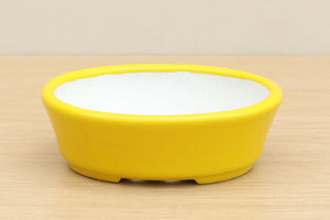 (A) High-quality Glazed Oval Bonsai Pot - 5" Yellow
