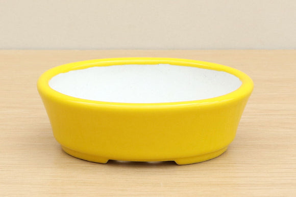 (A) High-quality Glazed Oval Bonsai Pot - 5