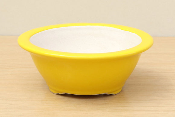 (A) High-quality Glazed Round Bonsai Pot - 5