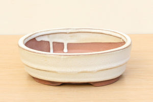 (B) Glazed Oval Bonsai Pot - 6" Cream