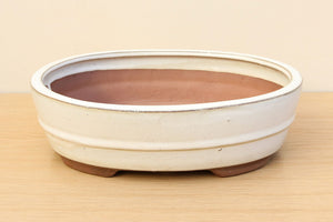 (D) Glazed Oval Bonsai Pot - 10" Cream