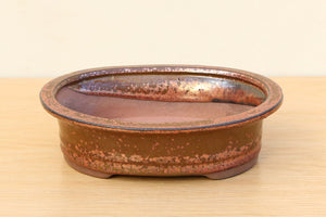 (B) Glazed Oval Bonsai Pot - 6" Speckled Bronze