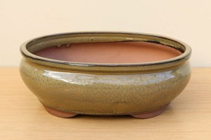 (D) Glazed Oval Bonsai Pot - 10" Mottled Green