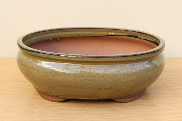 (D) Glazed Oval Bonsai Pot - 10