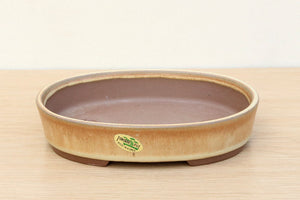 (B) Tongrae Glazed Oval Bonsai Pot - 6" Tan