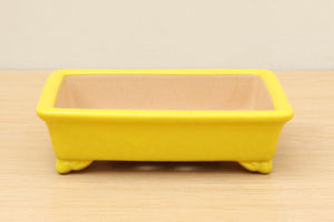 (B) High-quality Glazed Rectangular Bonsai Pot - 6" Yellow