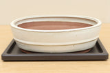 (Q3) Bonsai Drip Tray 10"