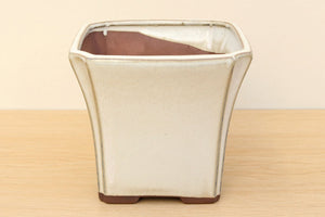 (B) Glazed Square Cascade Bonsai Pot - 6" Cream