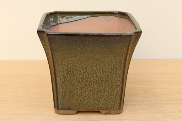 (B) Glazed Square Cascade Bonsai Pot - 6